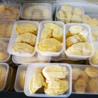 Gambar Durian Montong Frozen 1 Pack dari ALIFA SMART undefined 3 Tokopedia