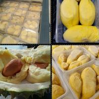 Gambar Durian Montong Frozen 1 Pack dari ALIFA SMART undefined 4 Tokopedia