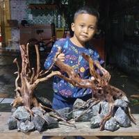 Gambar custom hardscape full set plus setingan batu pesanan pelanggan dari Bojong aquascape undefined 2 Tokopedia
