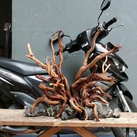 Gambar custom hardscape full set plus setingan batu pesanan pelanggan dari Bojong aquascape undefined 5 Tokopedia