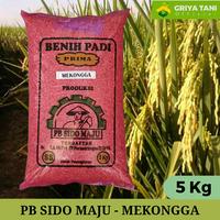 Gambar Benih Padi Sido Maju MEKONGGA Prembun dari Griya Tani Official undefined 1 Tokopedia