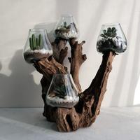 Gambar AKUARIUM IKAN CUPANG 4 IN ONE SIZE 20CM KAYU AKAR AQUARIUM - TINGKAT 4 dari Bali Art Craft undefined 1 Tokopedia