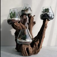 Gambar AKUARIUM IKAN CUPANG 4 IN ONE SIZE 20CM KAYU AKAR AQUARIUM - TINGKAT 4 dari Bali Art Craft undefined 4 Tokopedia