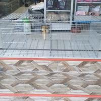 Gambar kandang doc anak ayam dari poultry equipment_NEW undefined 2 Tokopedia