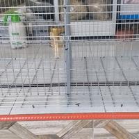 Gambar kandang doc anak ayam dari poultry equipment_NEW undefined 3 Tokopedia