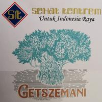 Gambar ST Getszemani dari S 12 Toserba undefined 1 Tokopedia
