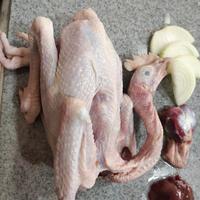 Gambar ayam pejantan jantan kg gram ati ampela bersih kampung fresh utuh ekor dari rentingplaces gatot subroto 45 undefined 2 Tokopedia