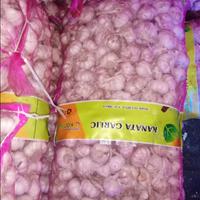 Gambar Bawang Putih Kating Kotor kemasan 1 kg dari Aurelshop2018 undefined 4 Tokopedia