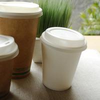 Gambar Paper Cup Putih Tahan Panas, Gelas kertas Ramah Lingkungan - 16 oz dari Avani Eco Jakarta undefined 5 Tokopedia