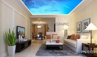 Gambar Wallpaper Sticker Plafon Atap Rumah Motif AWAN BIRU LANGIT - Stiker Vynill dari The habitat grapic undefined 4 Tokopedia