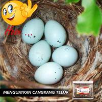 Gambar Tepung Cangkang Kerang Kasar Grit untuk Pakan Ternak Kemasan 250 gram dari PT. Koloni Walet Indonesia undefined 3 Tokopedia