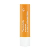 Gambar WARDAH EVERYDAY MOISTURE LIP NUTRITION - HONEY dari Tokita Beauty Supplies undefined 4 Tokopedia