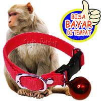 Gambar KALUNG KUCING MUSANG MONYET OTER PUPPY PLUS LONCENG - Motif Putih dari SILVERA undefined 2 Tokopedia