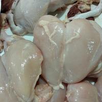 Gambar Fillet Dada Ayam Tanpa Tulang Dan Kulit Segar Dan Fresh 1 kg dari sembako murah9 undefined 1 Tokopedia