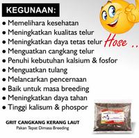 Gambar Tepung Cangkang Kerang Kasar Grit untuk Pakan Ternak Kemasan 250 gram dari PT. Koloni Walet Indonesia undefined 2 Tokopedia