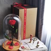 Gambar PRESERVED FLOWER, Bunga Asli Yang Diawetkan - Beauty and The Beast E dari PREFLEUR ONLINE undefined 1 Tokopedia