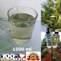 Gambar Minyak Kayu Putih Asli Namlea Pulau Buru Ambon 600ml Essential Oil dari Supreme Excellence undefined 4 Tokopedia