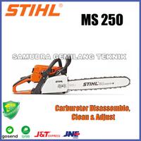 Gambar Mesin Potong Kayu / Gergaji / Chainsaw Stihl Ms 250 / 20" dari SAMUDRA GEMILANG TEKNIK undefined 1 Tokopedia