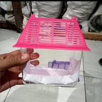 Gambar Aquarium mini cupang / kura kura dari Gibran D undefined 2 Tokopedia