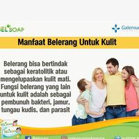 Gambar Sabun Belsoap Belerang/Sulfur/Jamur - FLORAL dari Ikhtiar Sembuh undefined 5 Tokopedia