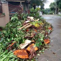 Gambar TUKANG TEBANG POHON DEPOK dari ECHA EARLY STORY undefined 2 Tokopedia