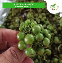 Gambar Lenca / Leunca Hijau 100 Gram Fresh Sayur Segar Buah Ranti dari Sayur Ijo Jakarta undefined 2 Tokopedia