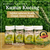 Gambar kapsul ekstrak kumis kucing 45 kapsul herbal batu ginjal detox dari Batavia Herbal Shop undefined 1 Tokopedia