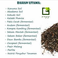 Gambar Media Tanam untuk Tanaman Variegata / Sultan - Full Fermentasi dari Joroyoyo undefined 3 Tokopedia