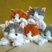Gambar Boneka kucing anggora lucu - Cokelat dari R2onlineshop2 undefined 1 Tokopedia