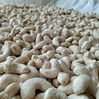 Gambar KACANG MEDE MENTAH FRESH 1KG|METE MENTAH WONOGIRI dari PASTYLAKU undefined 1 Tokopedia