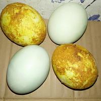 Gambar Paket Telor Asin Rebus dan Pindang Bumbu Asli Brebes - 4 Butir dari Berkah AWH undefined 2 Tokopedia