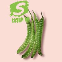 Gambar petai / pete (harga @1 lonjor) dari sayur-an undefined 1 Tokopedia