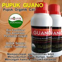 Gambar Pupuk Guano Penyubur Tanaman Hias dan Hidroponik | POC Nutrisi Lengkap dari belanjastores undefined 1 Tokopedia
