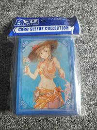 Gambar Sleeve "Record of Grancrest War"Siluca Meletes dari Guild House Jogja undefined 1 Tokopedia