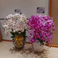 Gambar anggrek bulan ucapan selamat/anggrek ulang tahun/bunga meja ucapan dari Naqieflorist undefined 2 Tokopedia