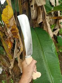 Gambar Golok Berkebun Kupas Kelapa dari Perkakaskushop2 undefined 3 Tokopedia