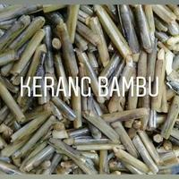 Gambar kerang bambu segar 1kg dari kanikan sapi undefined 1 Tokopedia