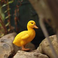 Gambar Dekorasi Kebun Bebek Kuning Artificial Duck 2 PCS dari Belanjaa Yuk. undefined 3 Tokopedia