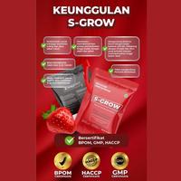 Gambar S grow Susu Suplemen Obat Peninggi Badan Anak Remaja Dewasa 2 BOX dari Hunting Diecast undefined 3 Tokopedia