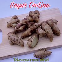 Gambar Kencur 100 gram dari Toko Sayur Mas Sahid undefined 4 Tokopedia