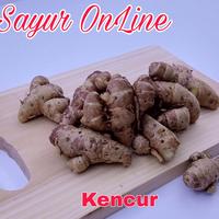 Gambar Kencur 100 gram dari Toko Sayur Mas Sahid undefined 2 Tokopedia