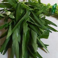 Gambar Kangkung 1 ikat besar 270-300gr Kangkung Segar Sayur Segar Cikarang dari WarungSedepan undefined 3 Tokopedia
