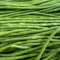 Gambar Benih Sayur Kacang Panjang Vegetable Mudah Tumbuh dari amefurashi undefined 4 Tokopedia