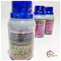 Gambar Mekar Hurip Plus Bunga 100 ml vitamin anggrek pupuk aglonema tanaman dari Rumah Anggrek Mlg undefined 3 Tokopedia