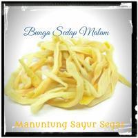 Gambar Jamur Kuping, Bunga Sedap Malam dari Manuntung Sayur Segar undefined 2 Tokopedia