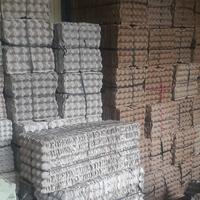 Gambar RNS egg tray second tempat telur karton bekas 1 bal/50 lembar dari rnsgrub pusat skincare91 undefined 2 Tokopedia