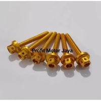 Gambar Baut Visor Baut Windshield Probolt Nmax Old Nmax New Aerox Lexi Adv - Gold dari Profit Motor Jaya undefined 2 Tokopedia