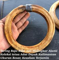Gambar Taring Babi Melingkar Super Asli Untuk Liontin ACC Etnik Dayak dari Pusaka Bahari Kalimantan undefined 4 Tokopedia