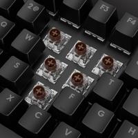 Gambar Kailh Silent Brown Mechanical Switch Tactile Switch Switches Keyboard dari Dunia Mas Computer undefined 3 Tokopedia