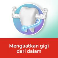 Gambar COLGATE PASTA GIGI FRESH COOL MINT. Odol Pudina Ekstra - 180 gr dari sadvisor undefined 5 Tokopedia